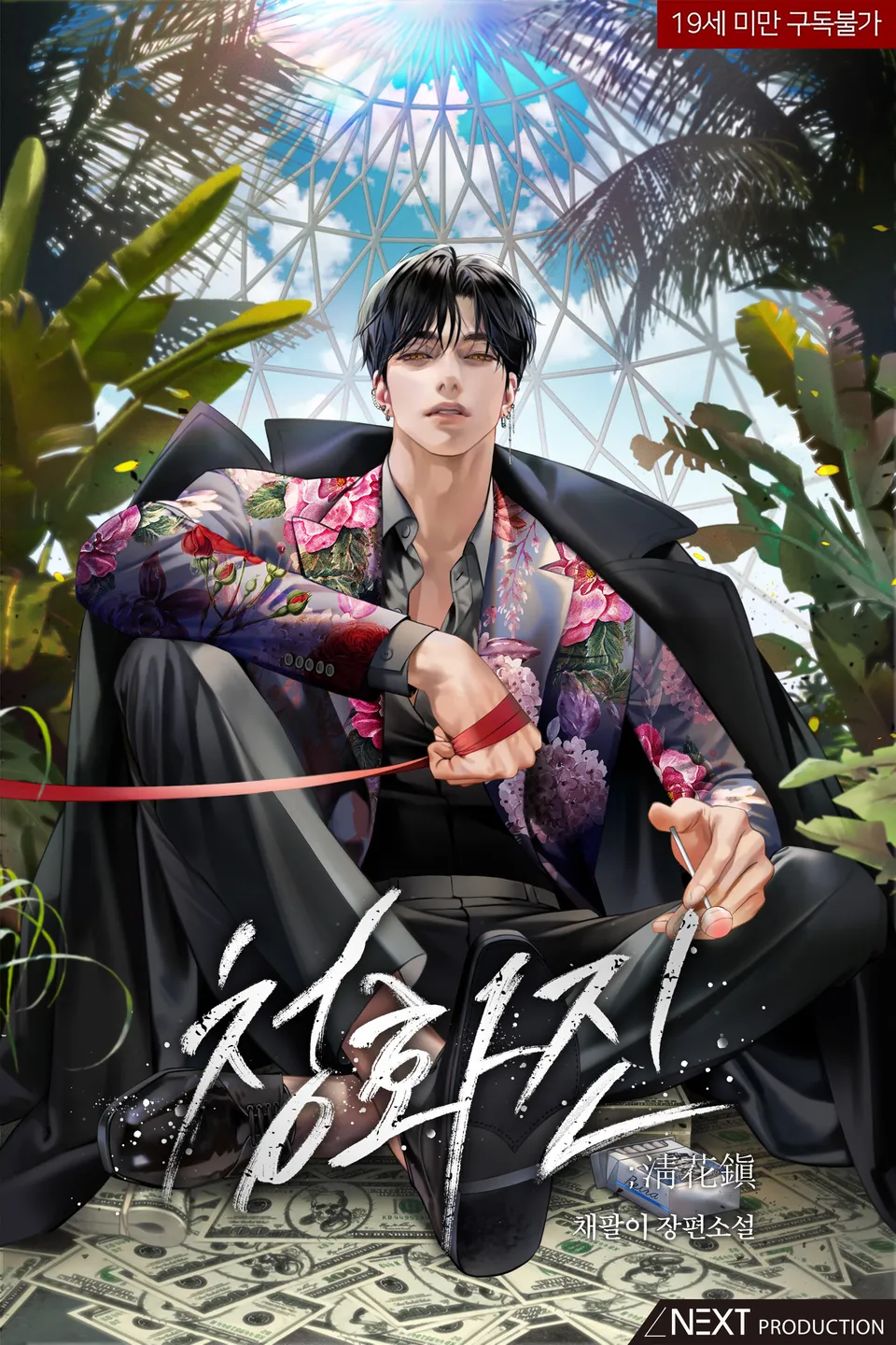 Trấn Cheonghwa Novel